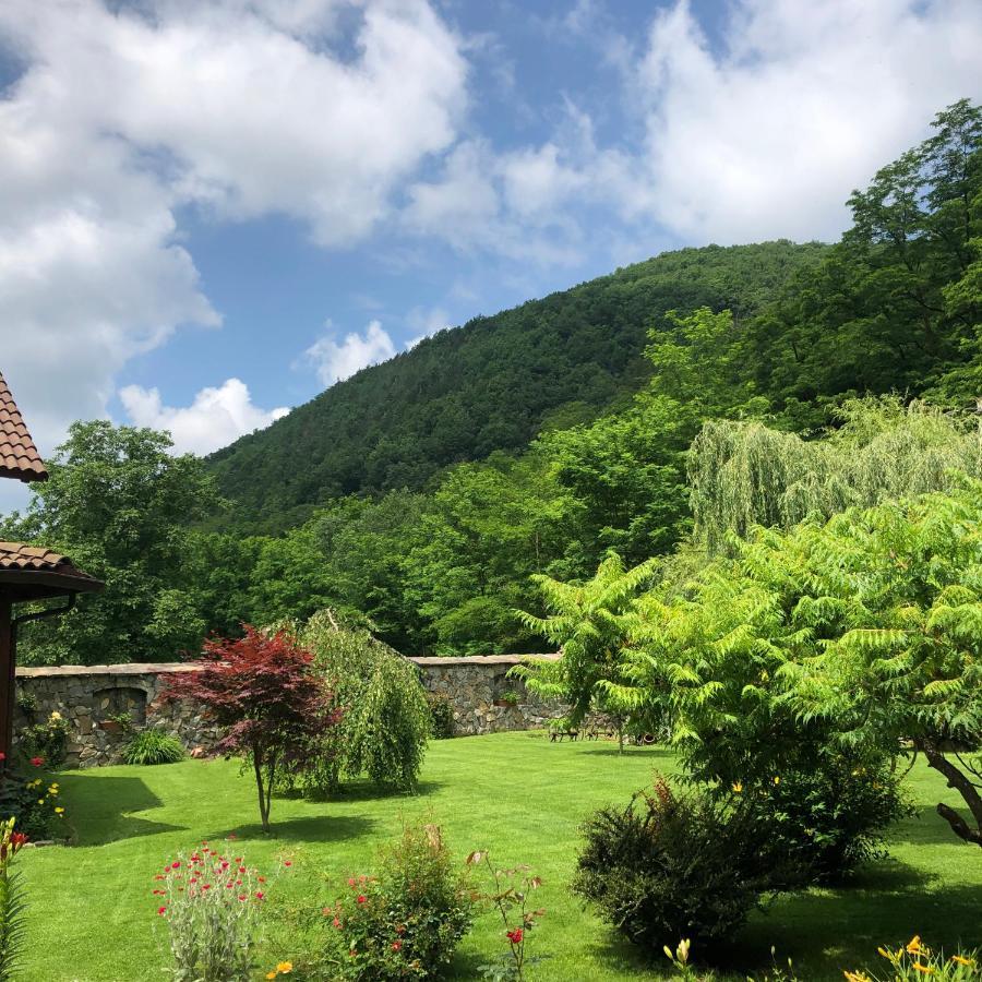 Casa De Piatra Villa Strungari Luaran gambar