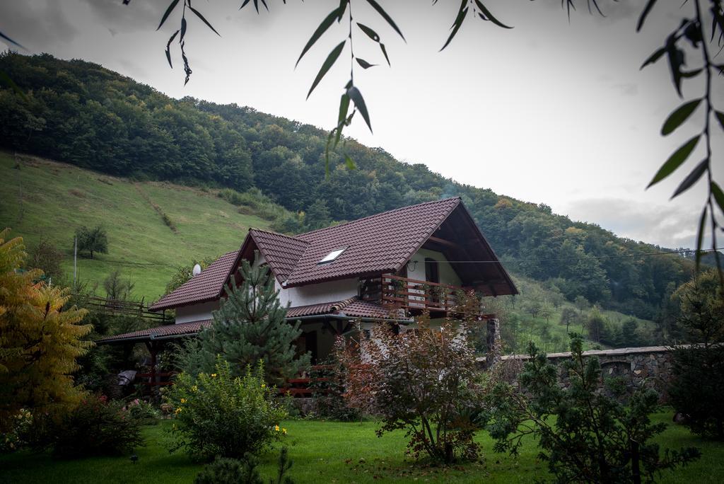 Casa De Piatra Villa Strungari Luaran gambar