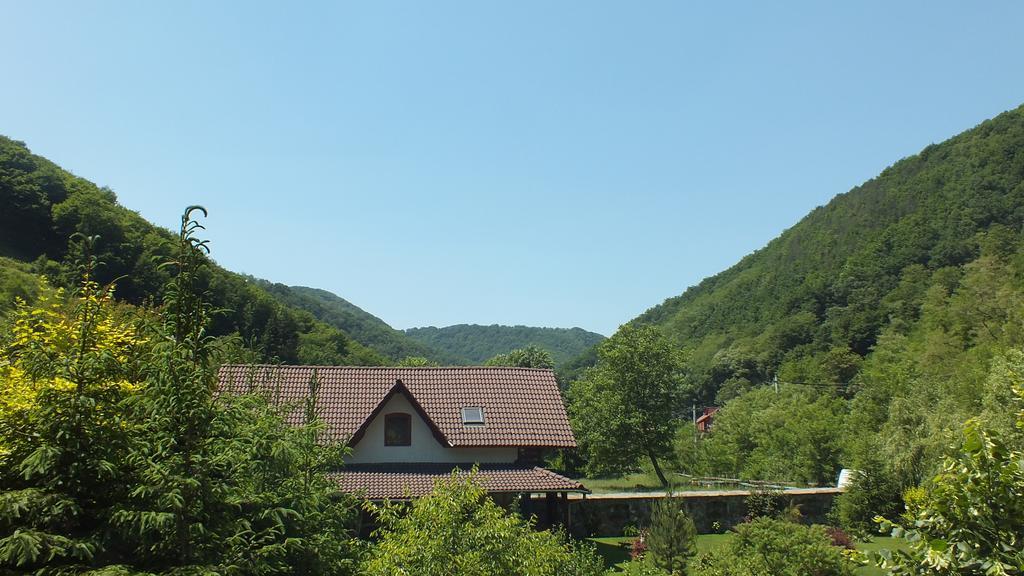 Casa De Piatra Villa Strungari Luaran gambar